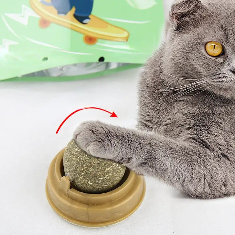 Cat Snack Tooth Cleaning Molar