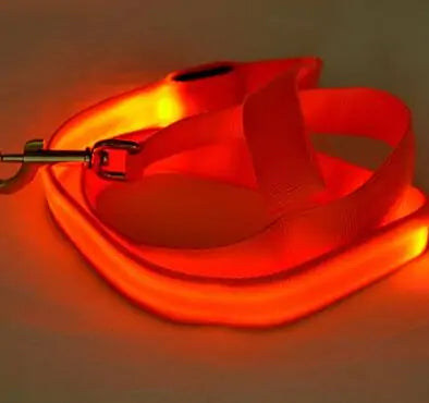 Glow In Dark Leash