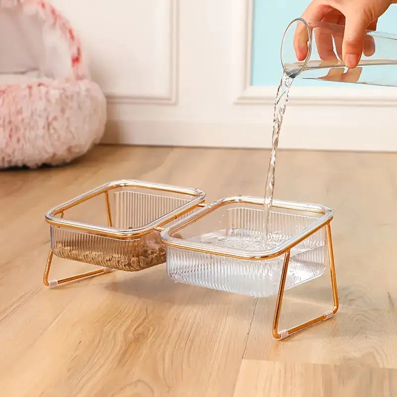 Pampered Paws Elevated Bowl