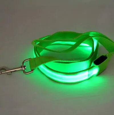 Glow In Dark Leash