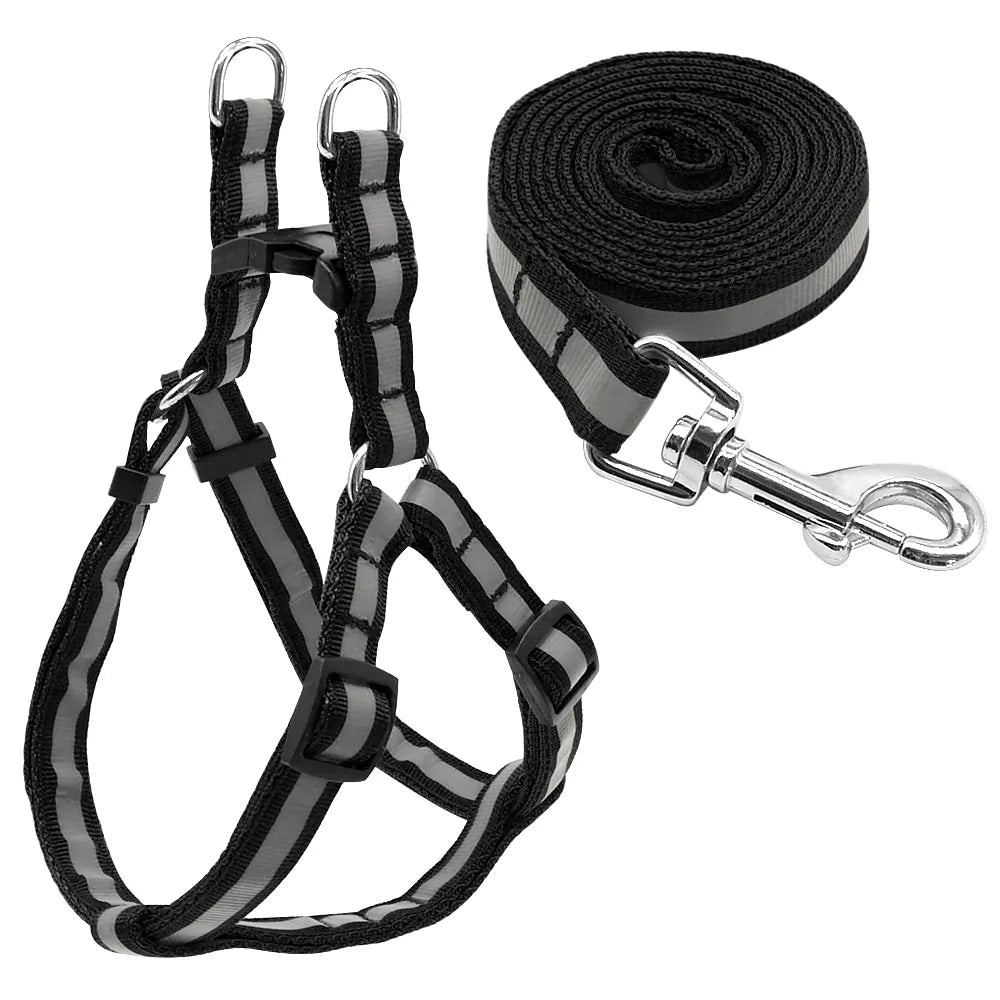 Dog Harness & Leash Set