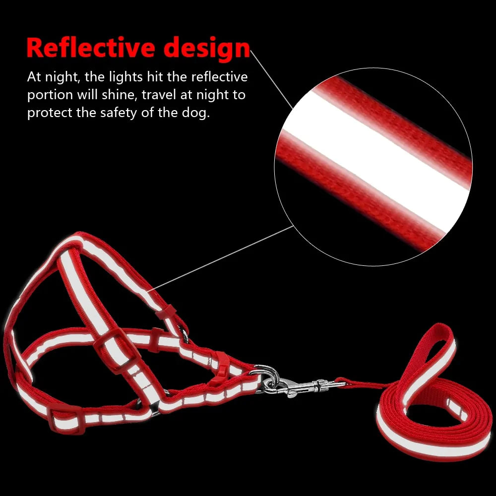 Dog Harness & Leash Set