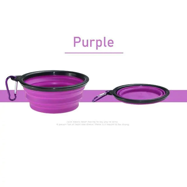 Travel Pet Food Bowl