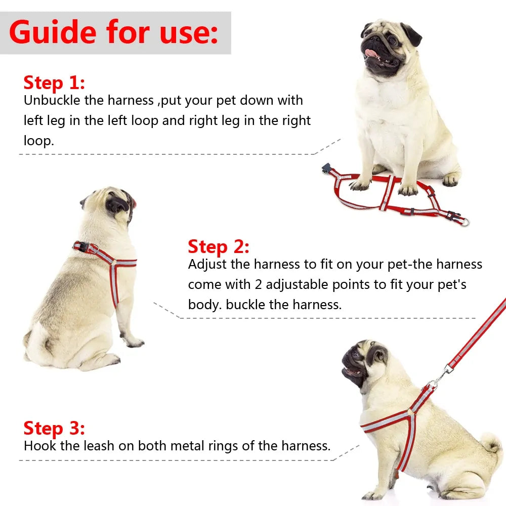 Dog Harness & Leash Set
