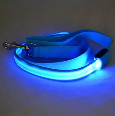 Glow In Dark Leash