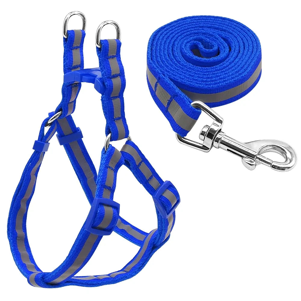 Dog Harness & Leash Set