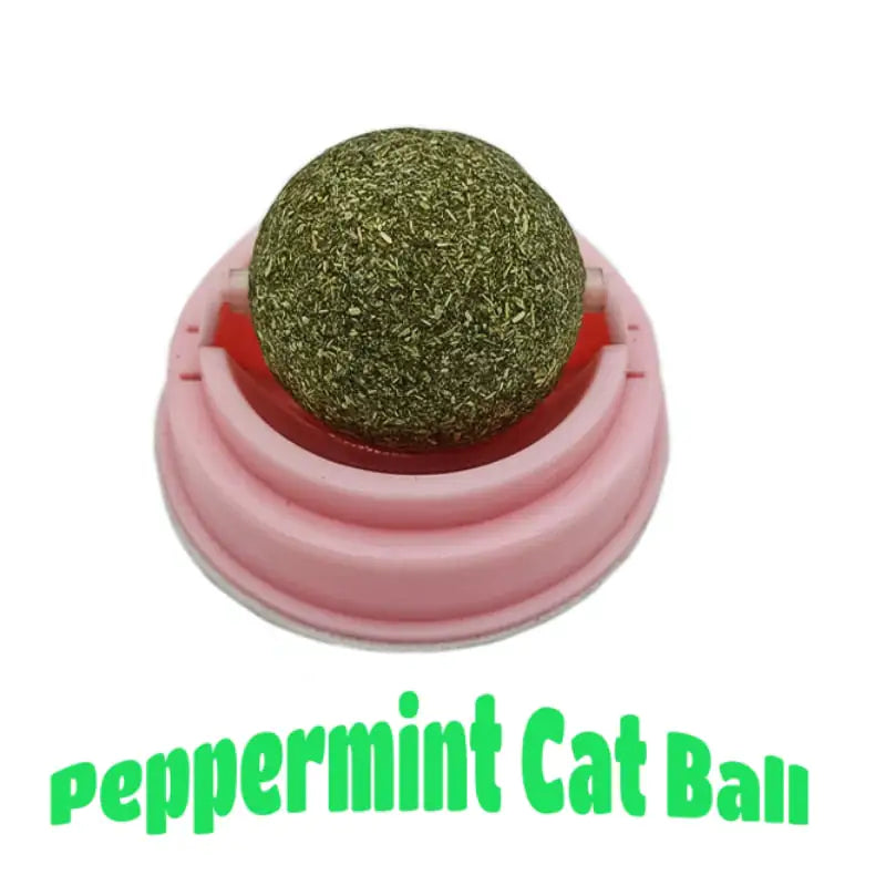 Cat Snack Tooth Cleaning Molar