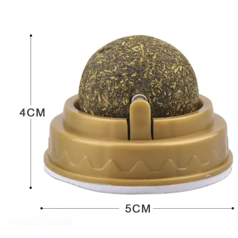 Cat Snack Tooth Cleaning Molar