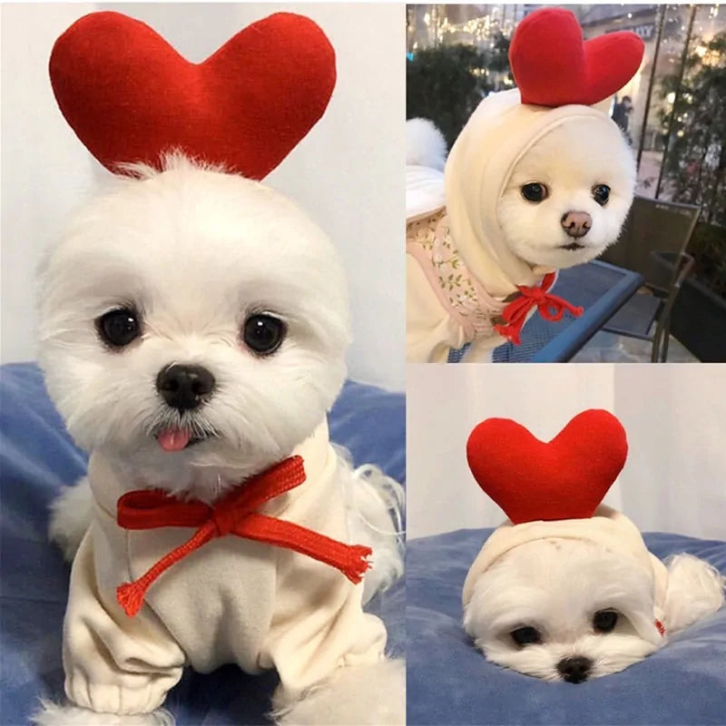 Costumes for Dog