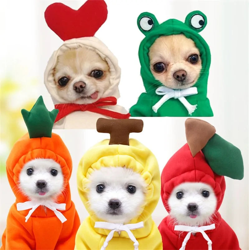 Costumes for Dog
