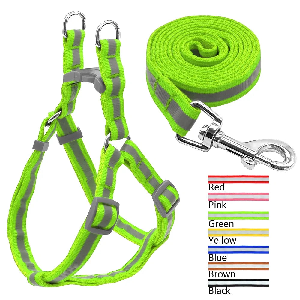 Dog Harness & Leash Set