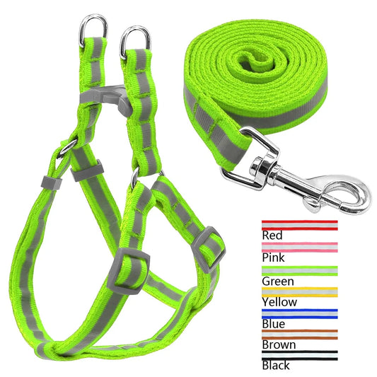 Dog Harness & Leash Set
