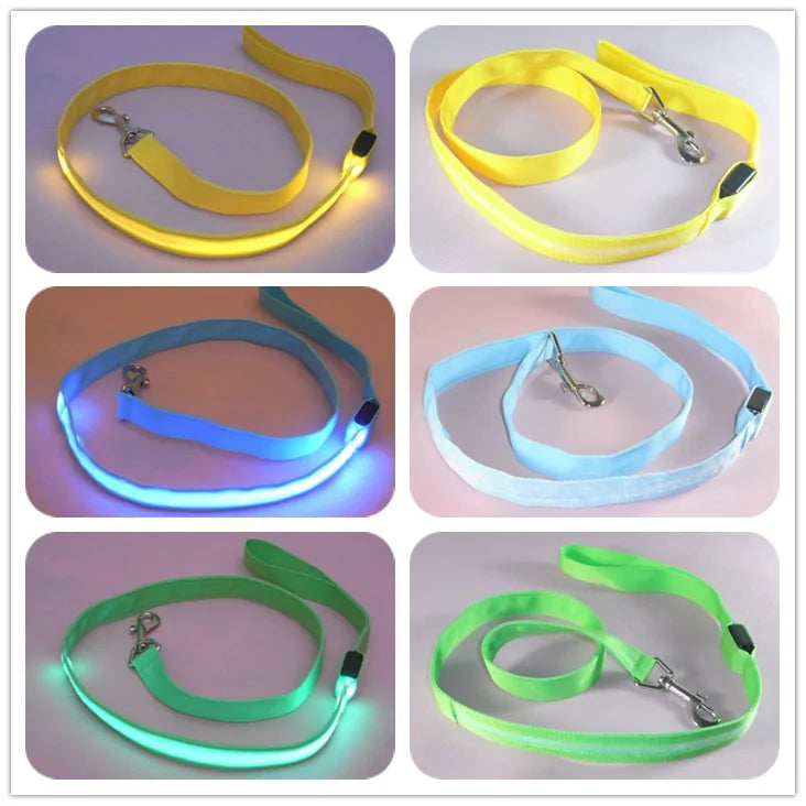 Glow In Dark Leash