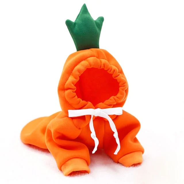 Costumes for Dog