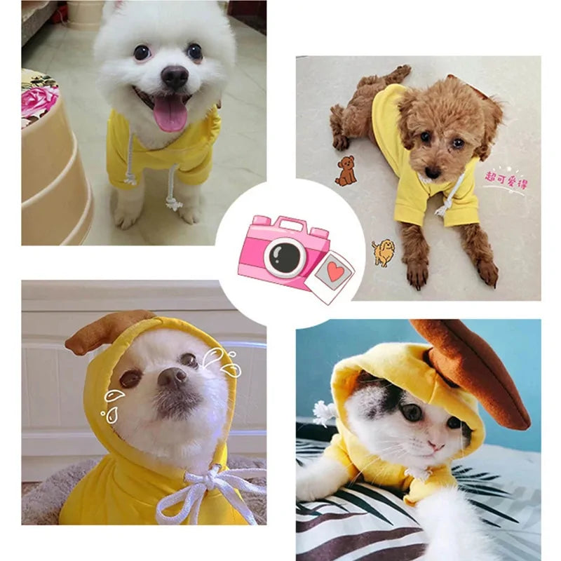 Costumes for Dog