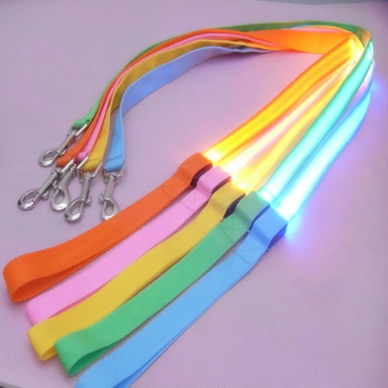 Glow In Dark Leash