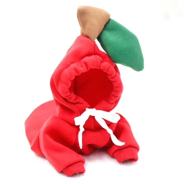 Costumes for Dog