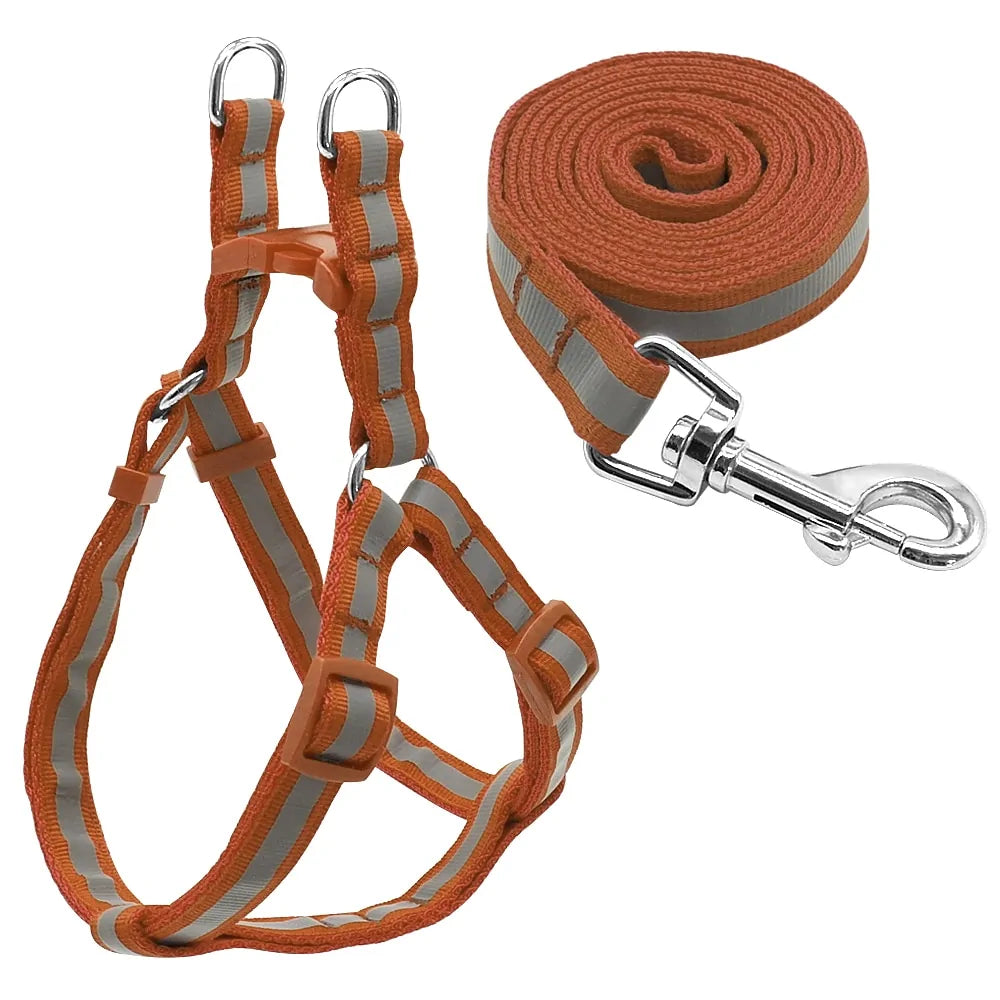 Dog Harness & Leash Set