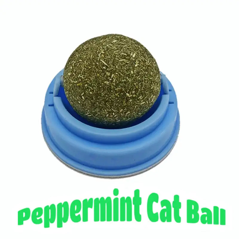 Cat Snack Tooth Cleaning Molar