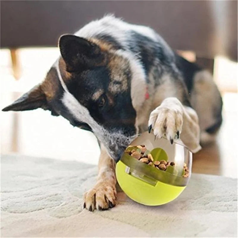 Interactive Pet Toy IQ Treat Ball Smarter