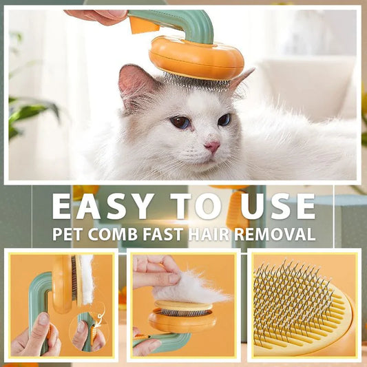 Cat Comb