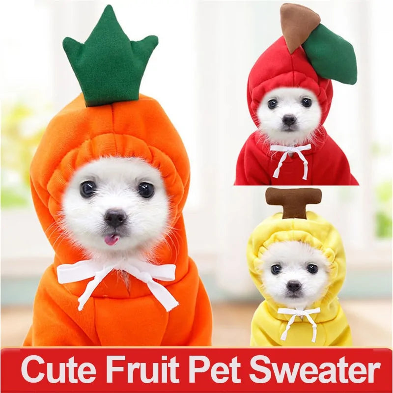 Costumes for Dog