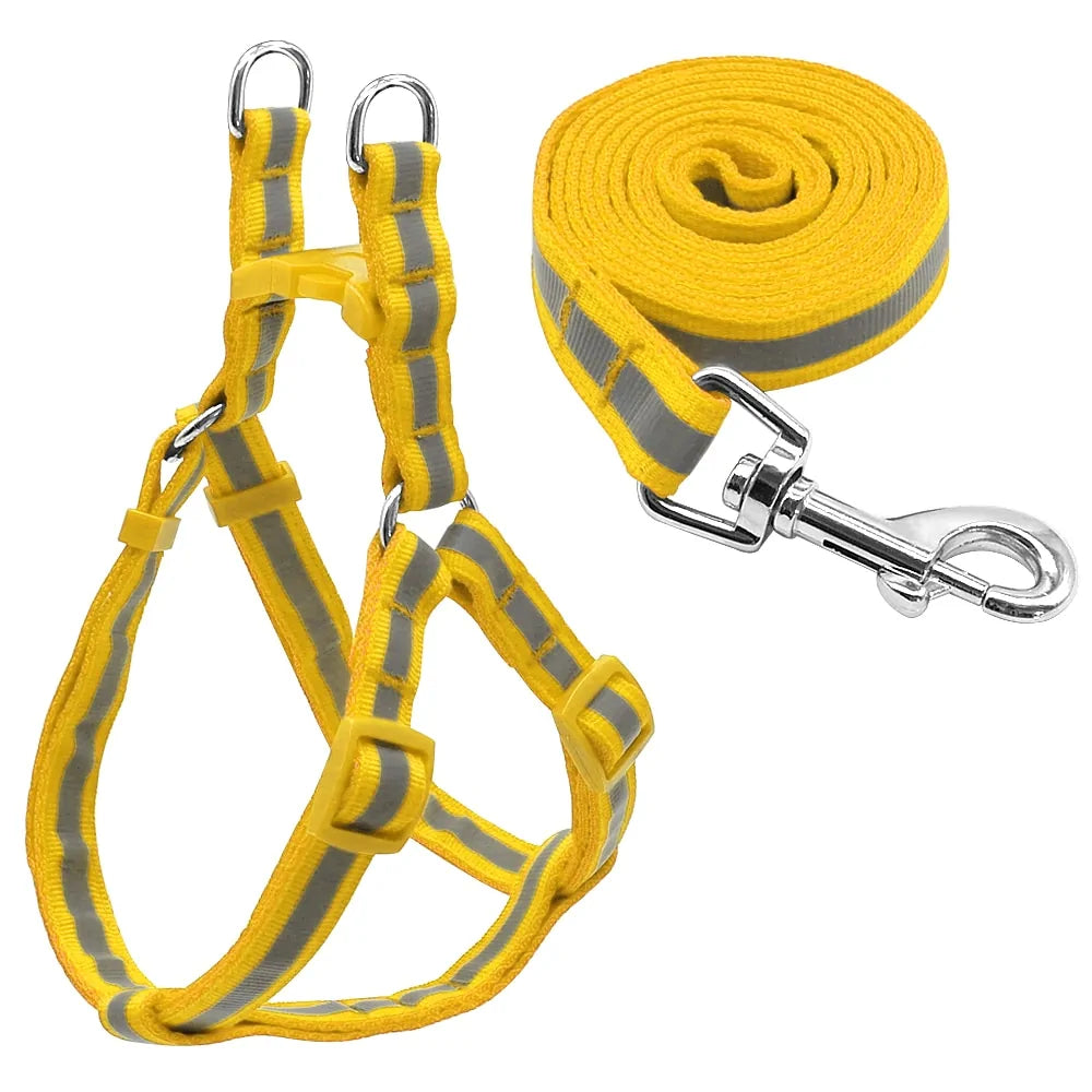 Dog Harness & Leash Set