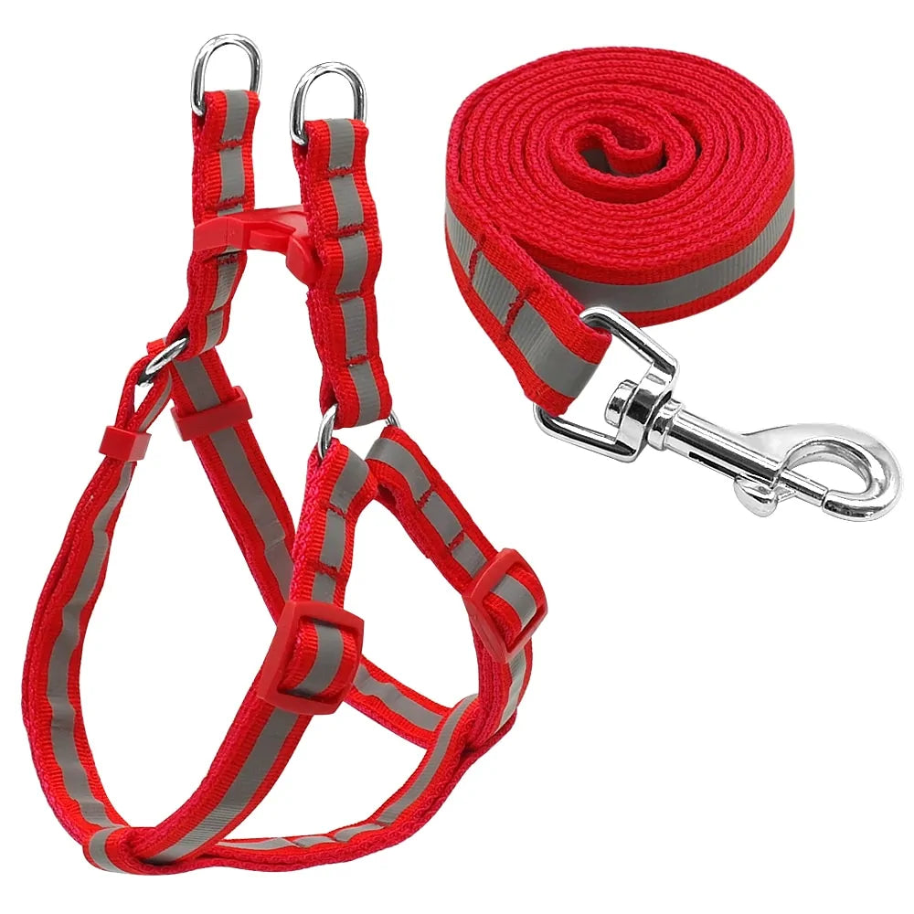 Dog Harness & Leash Set