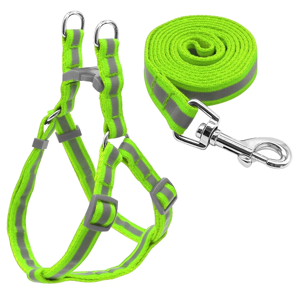 Dog Harness & Leash Set