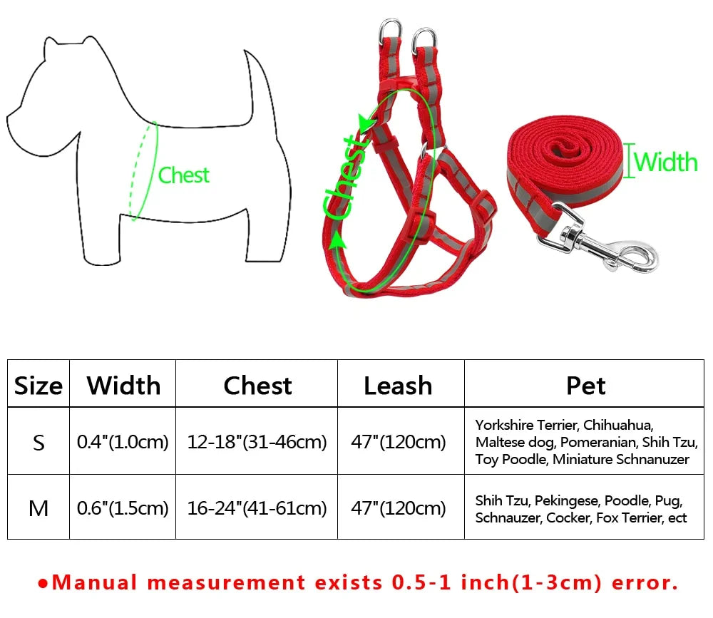 Dog Harness & Leash Set