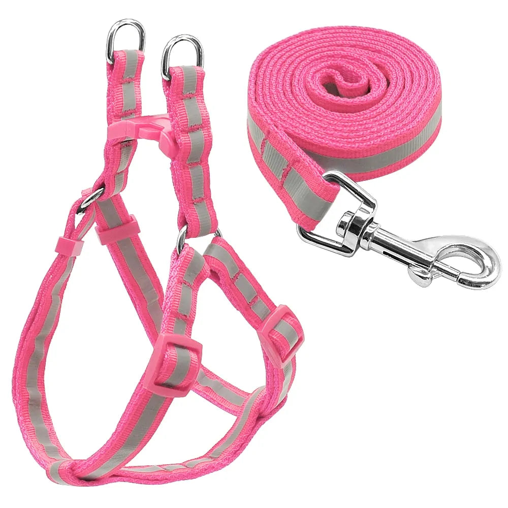 Dog Harness & Leash Set