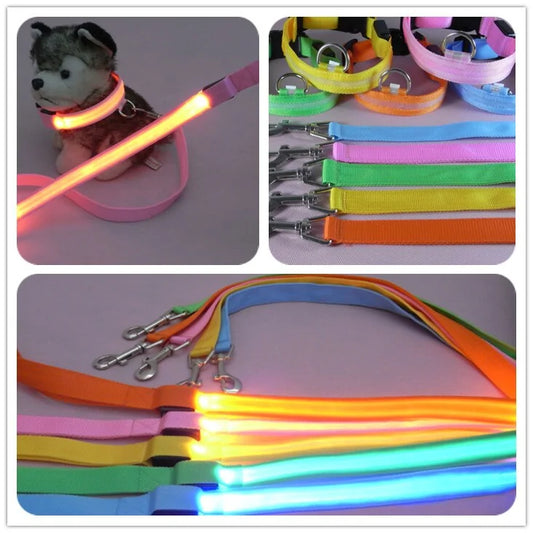 Glow In Dark Leash