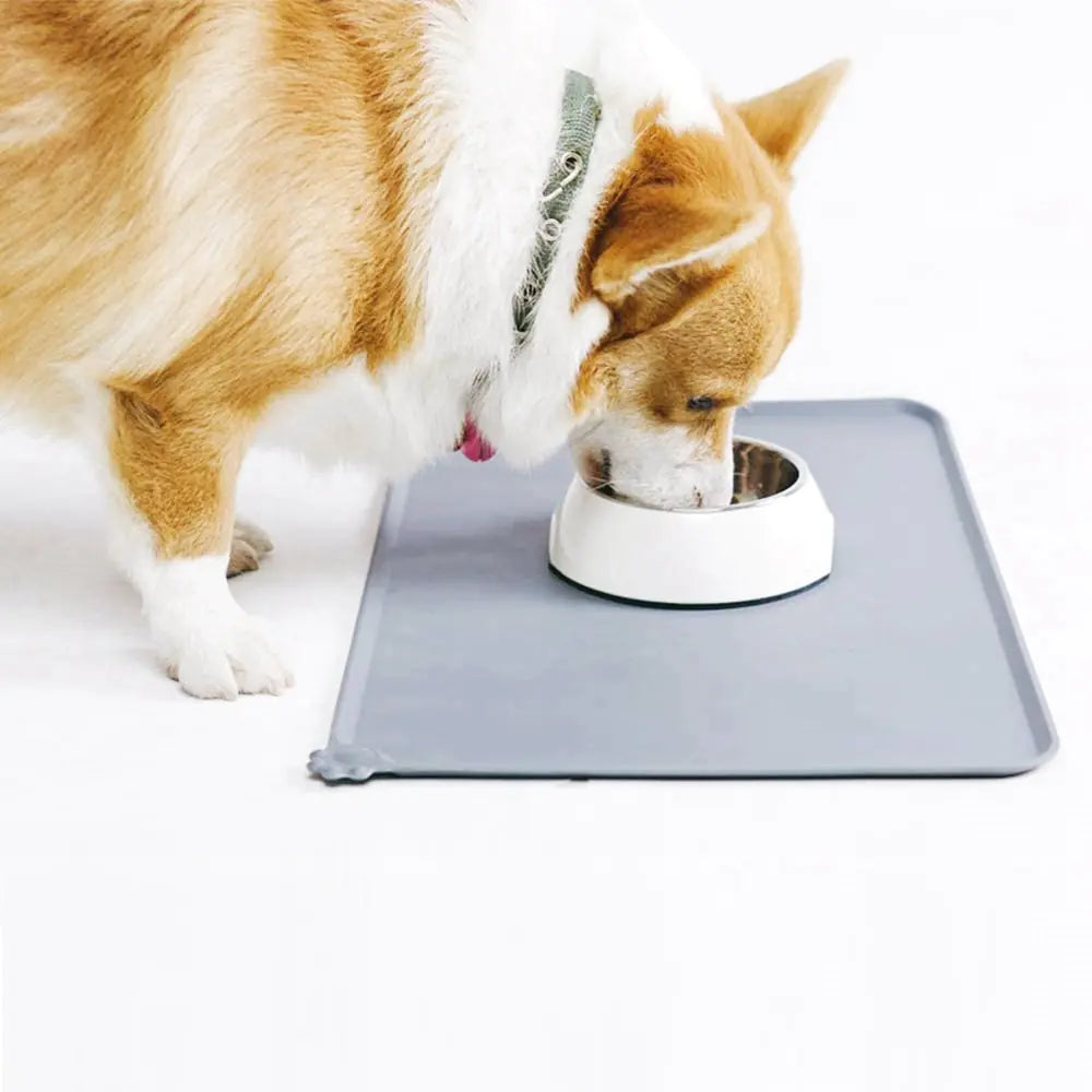 Silicone Pet Feeding Bowl Mat