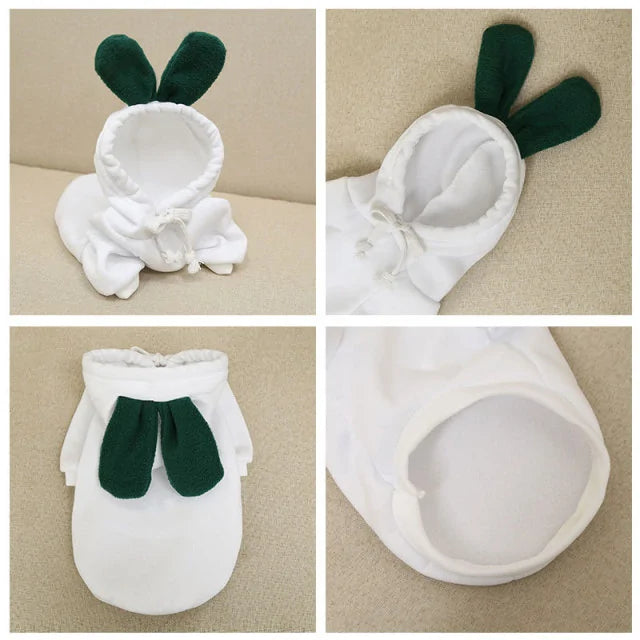 Costumes for Dog