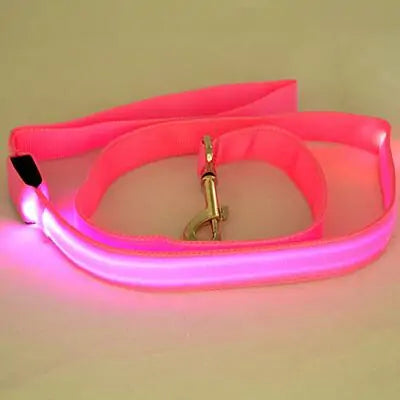 Glow In Dark Leash