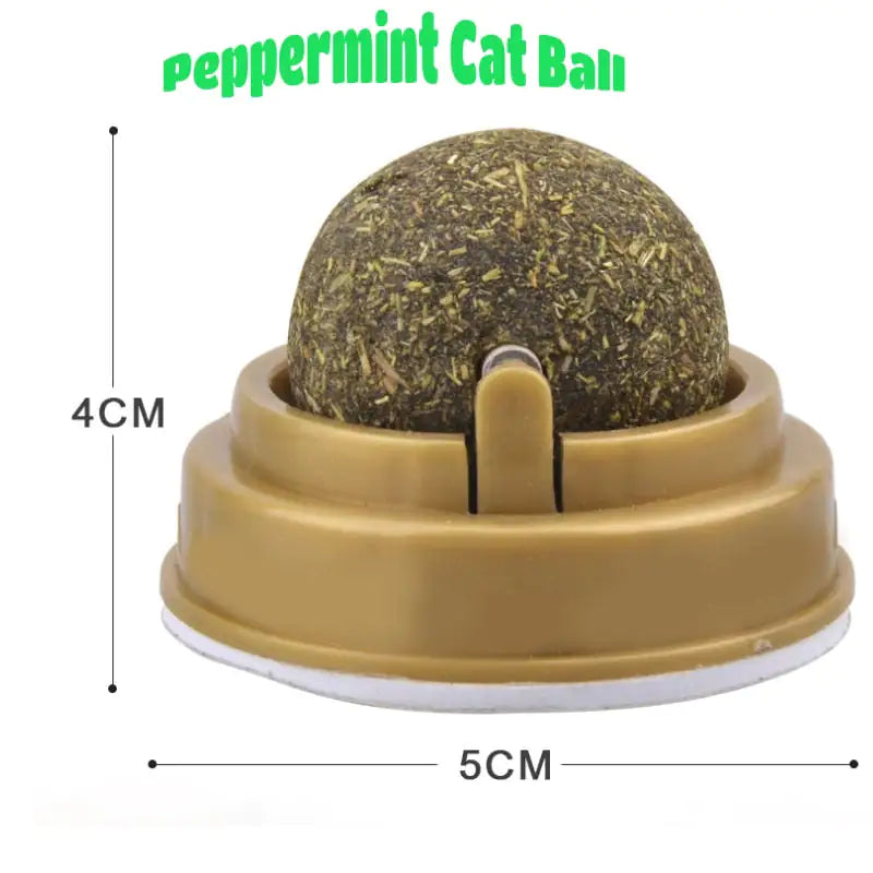 Cat Snack Tooth Cleaning Molar