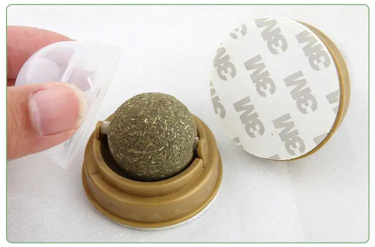 Cat Snack Tooth Cleaning Molar