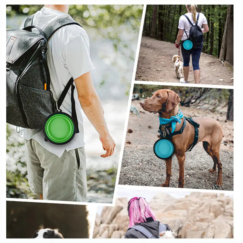 Travel Pet Food Bowl