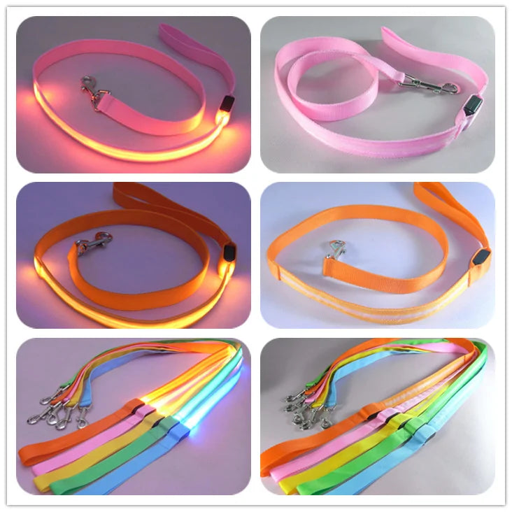 Glow In Dark Leash
