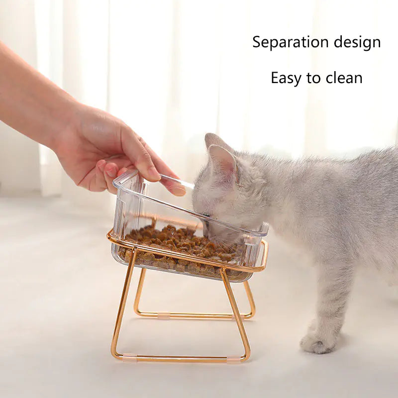 Pampered Paws Elevated Bowl