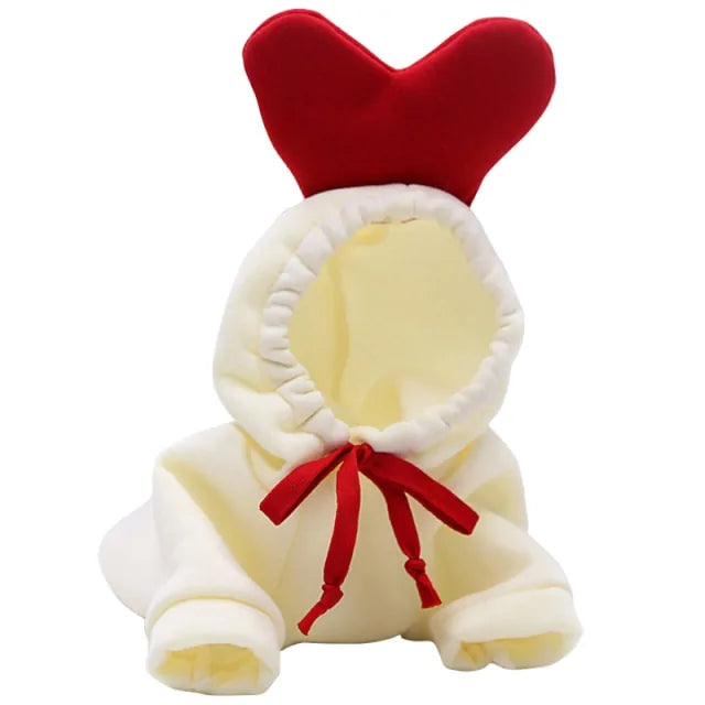 Costumes for Dog