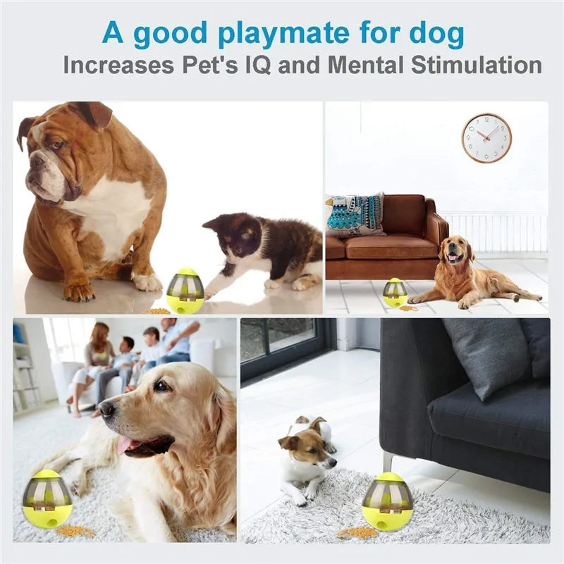 Interactive Pet Toy IQ Treat Ball Smarter