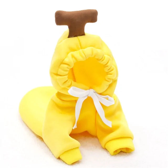 Costumes for Dog